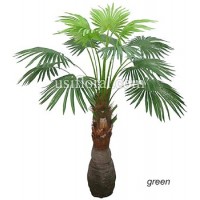 variedad de palmas