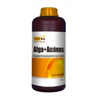 Amino Algas