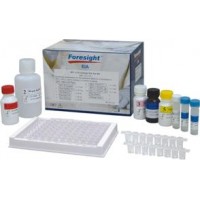 Kit Elisa FORESIGHT