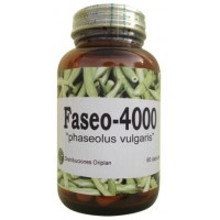 Faseo-4000