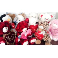 Tony Collection - Todo Peluche