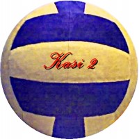 Pelota de Voley