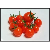 TOMATE CHERRY