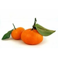 MANDARINA ENCORE