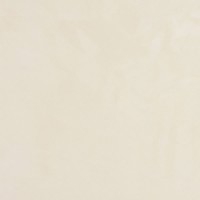 ILVA ECOLAND DESERTS 60x60 PULIDO