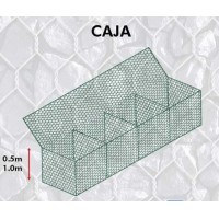 Gavin Caja J-010